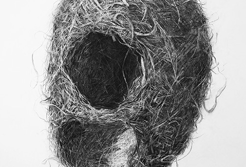 Bird Nest No.3 - detailed still life drawing by Singapore charcoal artist Liu Ling