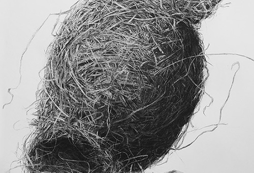 Bird Nest No.5 - nature still life art by Singapore charcoal drawing artist Liu Ling