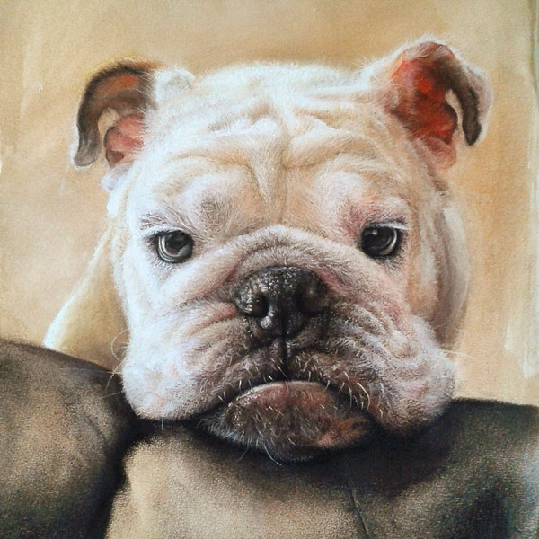 Bubu - dog portrait. pet portrait. photo-realistic animal drawing.