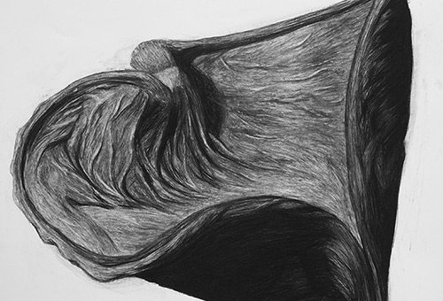 Organic Shape No.1 - charcoal drawing of nature texture by Singapore visual artist Liu Ling