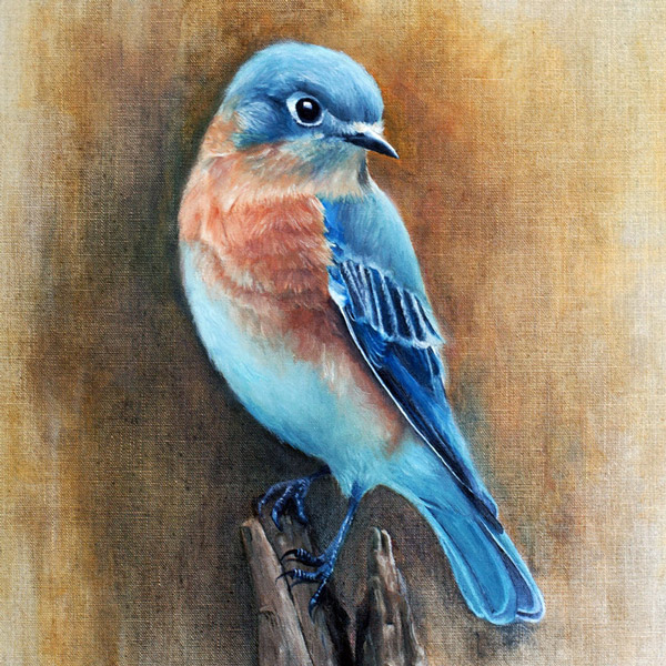 Blue Bird - wildlife oil painting